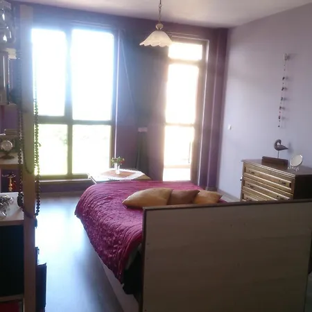 Holistic Space Appartement